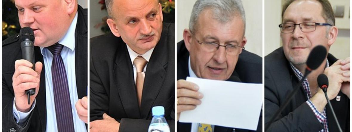 Pochwała politycznej głupoty
